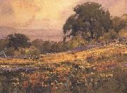 unknow artist, California landscape